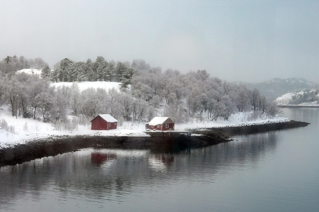 A snowy winter landscape